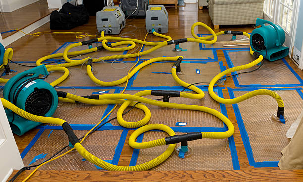 Professional Burst Pipe Water Damage technician working in Randolph, NJ